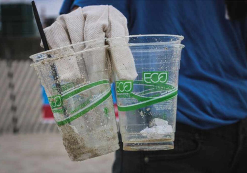 Certifications as Tools for Authenticating Sustainable Claims And Avoiding Greenwashing